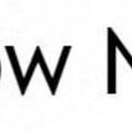 New Show New York