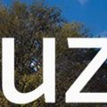 Buzz Weekly