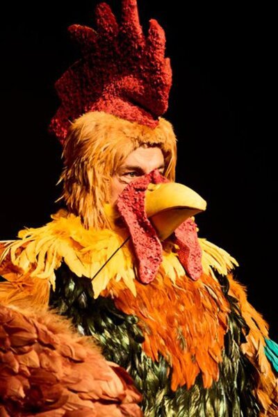 Old Cock