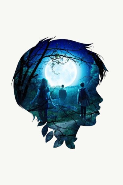 The Vanishing Forest