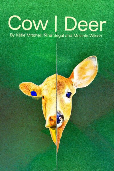 Cow | Deer