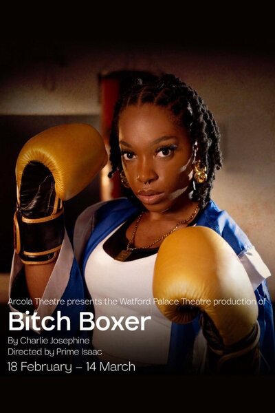 Bitch Boxer