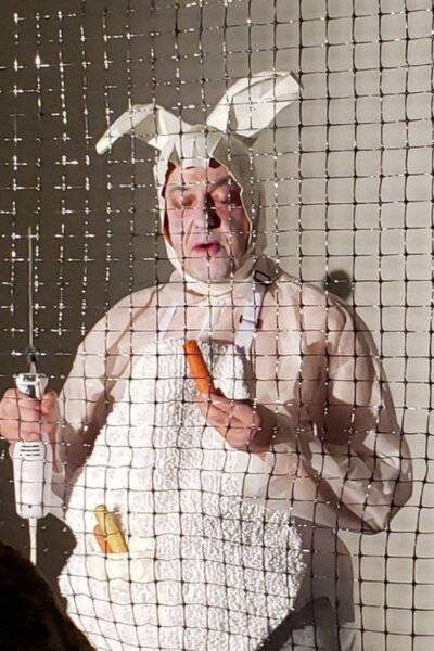 Spider Rabbit