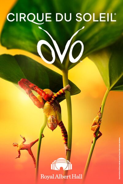 Cirque du Soleil - Ovo