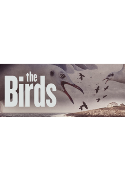 The Birds