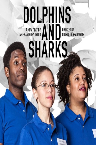 Dolphins and Sharks