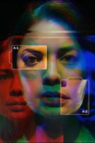 Assembled Identity