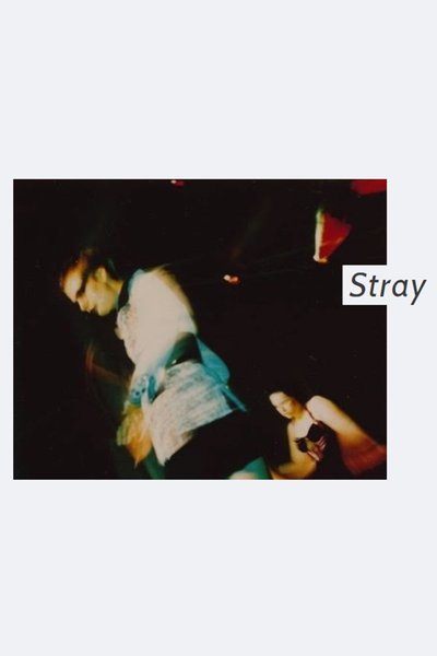Stray (The Tank)