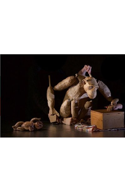 Chimpanzee
