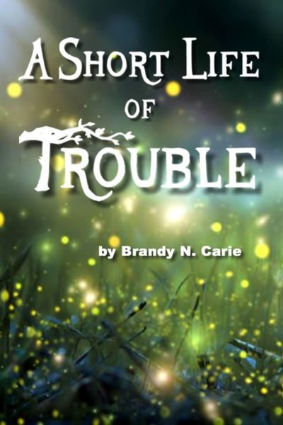 A Short Life of Trouble