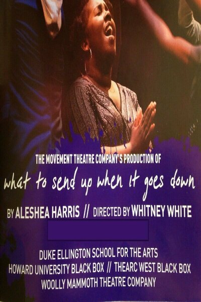 What to Send Up When it Goes Down (Woolly Mammoth Theatre Co.)