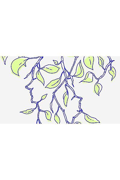 House Plant