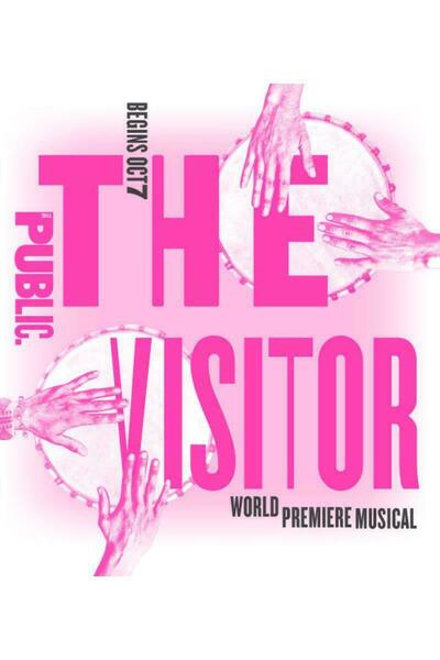 The Visitor