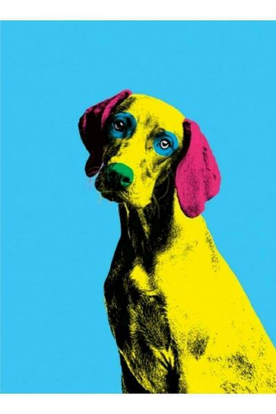 Dog Show