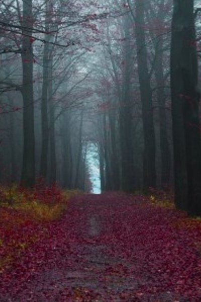 Abyss