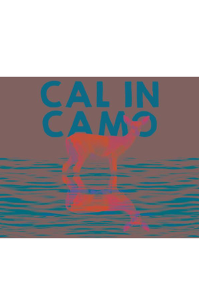 Cal in Camo