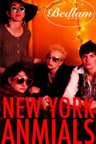 New York Animals