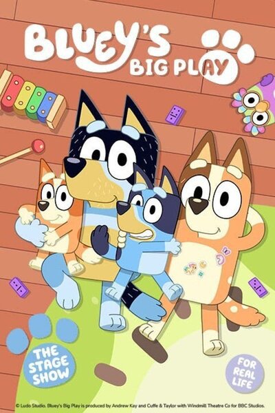 Bluey's Big Play