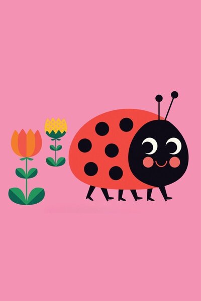 Where's Mrs Ladybird?