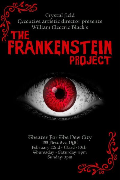 THE FRANKENSTEIN PROJECT