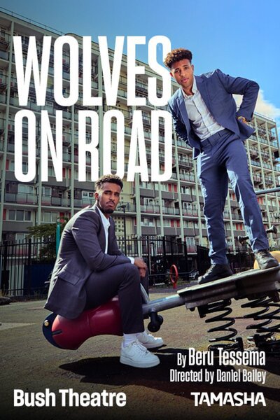 Wolves on Road