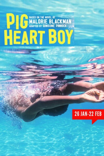 Pig Heart Boy