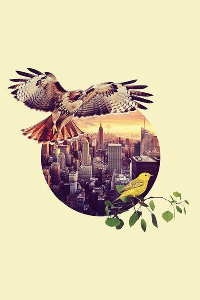 Pecking Order