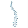 The Skeleton Rep