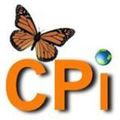 The Creative Place International