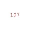 107 group