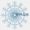 The Arctic Group