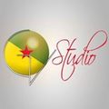 GV Studio