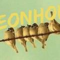 Pigeonholed