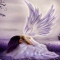 Purple_Fairy