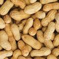 peanutgallery